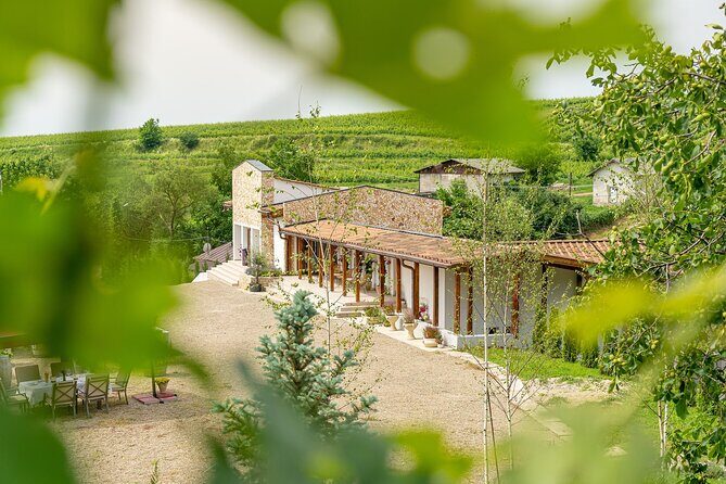 Private Tasting Expedition Along Romania’s Most Famous Wine Route - What the vintners teach you in the cellar