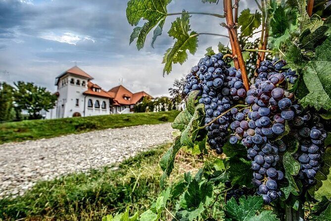 Private Tour to Salt Mine, Lunch at Winery and Dracula Grave - Price and budget math: what your day really costs