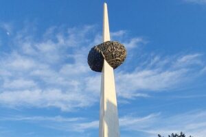 Relics of Communism: 3-Hours Walking Tour (Small groups) - Small-group pace and the guide effect (Mara’s Tours&Travel)