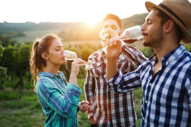 Romanian Wine Tasting - Getting There Smoothly: Pickup, Time, and Mobile Ticket
