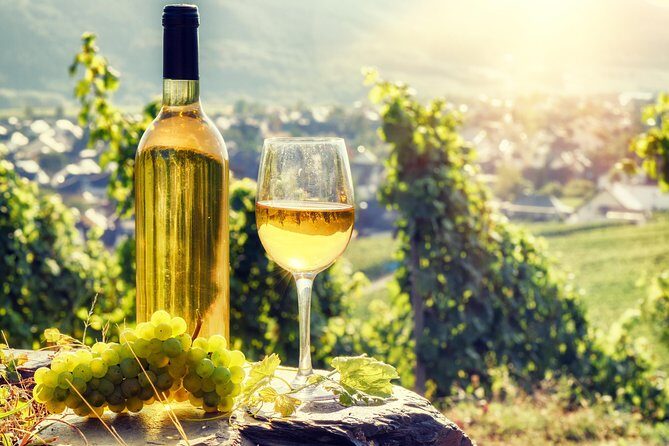Romanian Wine Tasting - Budureasca Winery Stop: Tasting Etiquette That Improves Every Sip