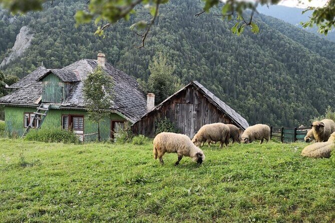 Slanic Salt Mines & Village Charms: Bucharest Day Escape - Slanic village time: crafts, interaction, and animals