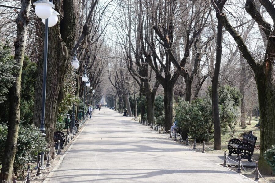 Slavery in Romania,Myths and Truths on Gypsies, Walking Tour - Cișmigiu Park: myth-correcting facts in Bucharest’s oldest garden