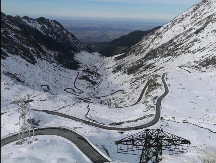Small group Bears 'Safari' on Transfăgărășan -max 7 tourists - Key things to know before you go