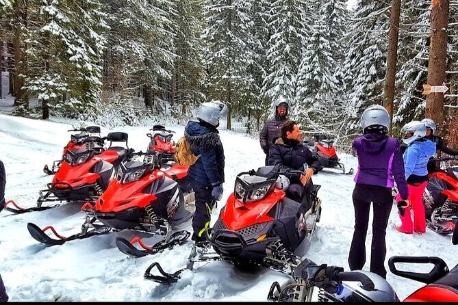 Snowmobiles, Sky Lift & Winter Sports - Private Tour - The Snowmobile Adventure: Forest Riding, Speed, and the One-Hour Reality