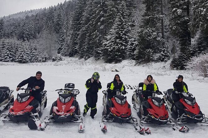 Snowmobiles, Sky Lift & Winter Sports - Private Tour - Price and Logistics: The $155 Tour Fee Plus the 80€ Cash Rental