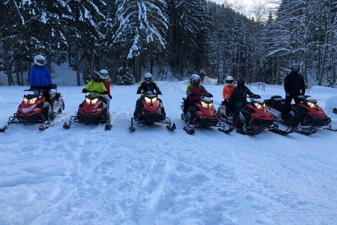 Snowmobiles, Sky Lift & Winter Sports - Private Tour - Safety First, Not Scared Stiff
