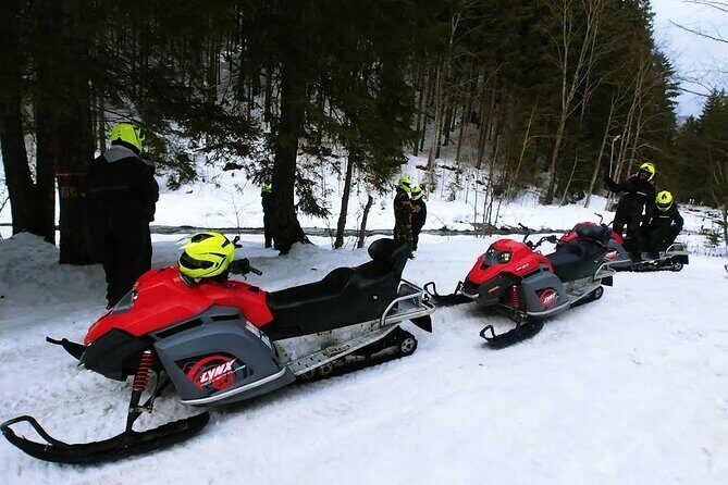 Snowmobiles, Sky Lift & Winter Sports - Private Tour - What Makes This Tour Worth Your Time in Bucharest