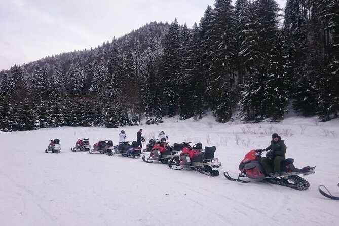 SnowMobiles Tour in Carpathian Mountains - Peleș Castle Stop: Ornate Comfort, Mountain Day Energy
