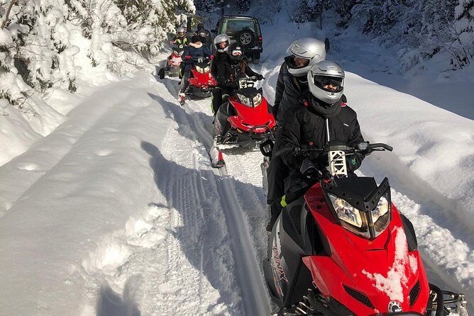 SnowMobiles Tour in Carpathian Mountains - 8:00 AM Pickup From Bucharest and the 9-Hour Day Beat