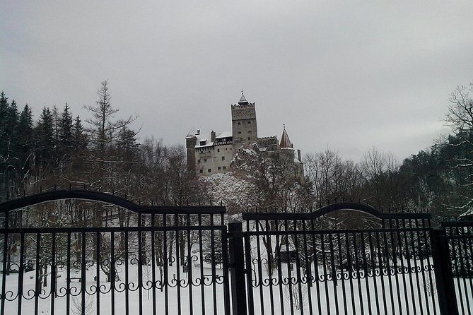 The Castles from the Carpathian Mountains! The Fixers Private Tour - Brasov historical center: Black Church and Rope Street on a timer
