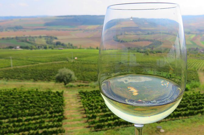 The wine route by bike - Key points to know before you pedal