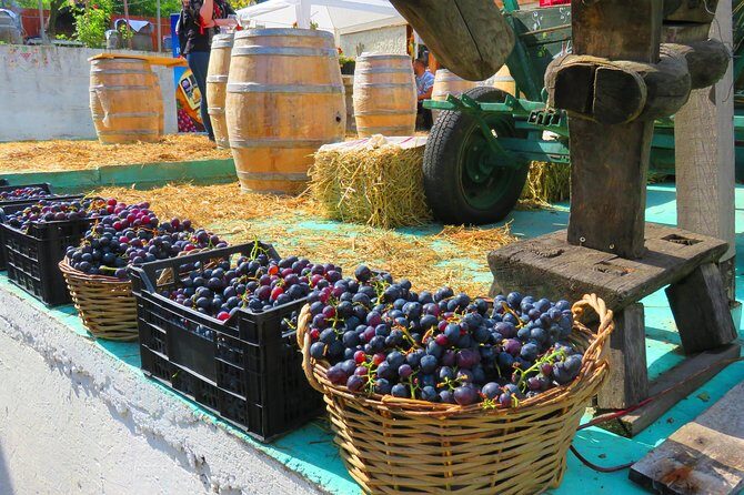 The wine route by bike - Your ride plan: paved roads, 12 km segments, and the optional gravel challenge