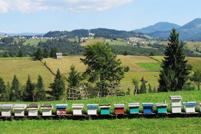 The wine route by bike - Rotenberg Winery in Dealu Mare: the gravitational cellar vibe