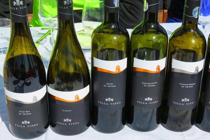 The wine route by bike - Who this tour suits best (and who should be cautious)