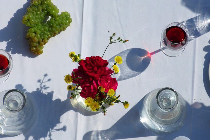 The wine route by bike - Bellu Manor: the quick museum stop that sets the tone