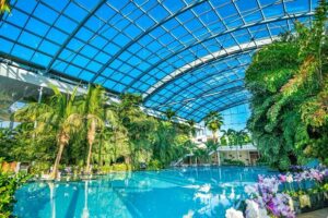 Therme Bucuresti: Entry Ticket and Transfer - The express shuttle ride: simple, but plan for updates