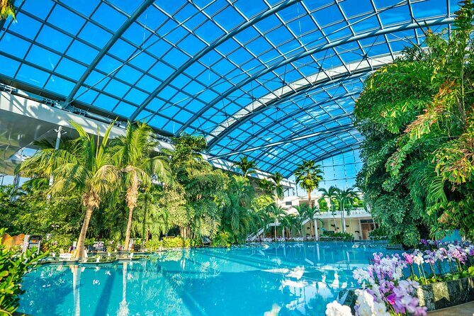 Therme Bucuresti: Entry Ticket and Transfer - The express shuttle ride: simple, but plan for updates