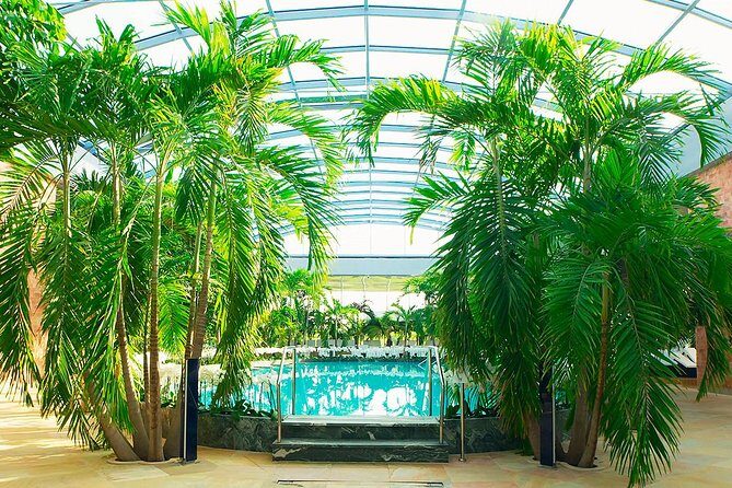 Therme Spa Ultimate Experience | Transfer - Full Access All Areas - 3-hour game plan at Therme: Galaxy, Palm, and Elysium