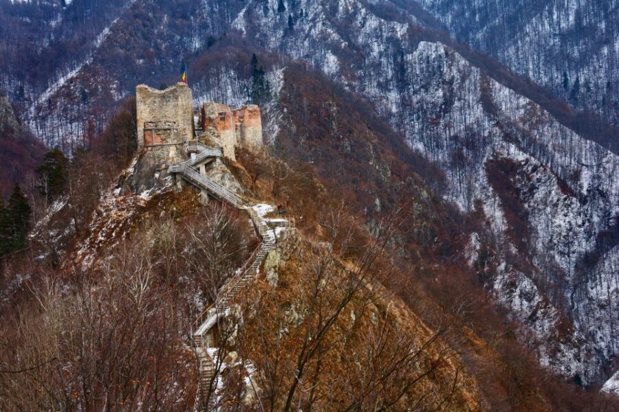 Transfagarasan Road Trip - Bears and Wildlife: Enjoy the Hope, Don’t Build a Plan Around It
