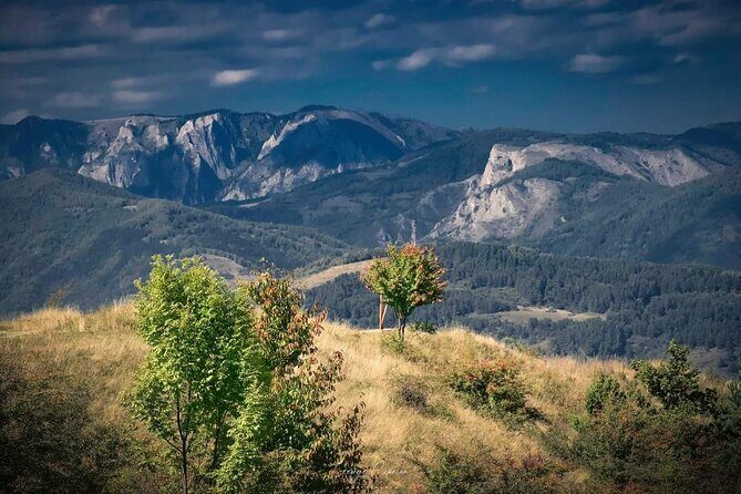 Transfer Bucharest -Brasov with Targoviste and Bran Castle visits - Brasov old town with a private guide: where the day turns human
