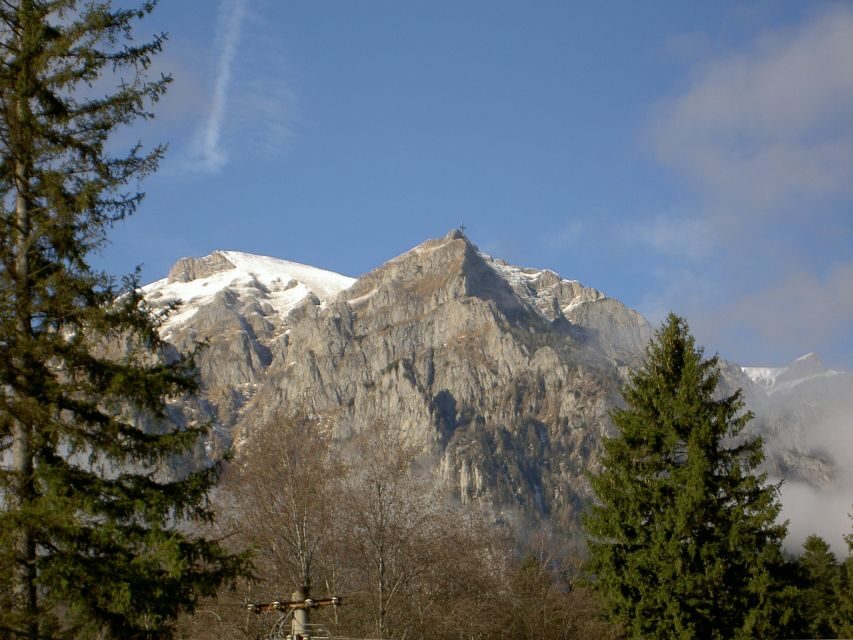 Transylvania: Cultural Full-Day Trip by Minivan - Key highlights worth planning for