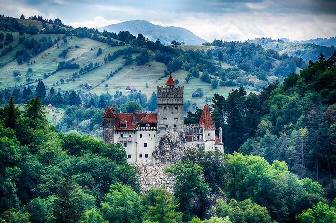 Transylvania Private Castle Day Trip from Bucharest - Private transport with Wi‑Fi: comfort helps when traffic turns nasty