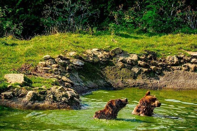 Transylvania with Dracula Castle, Bear Sanctuary and Brasov - Price and value: where $155 fits in (and what can add up)