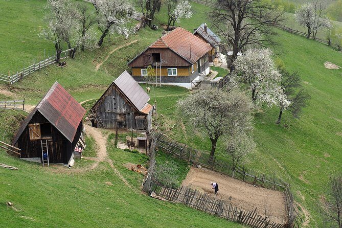 Village life in Transylvanian Carpathian mountains - 8 days - Key things to know before you go