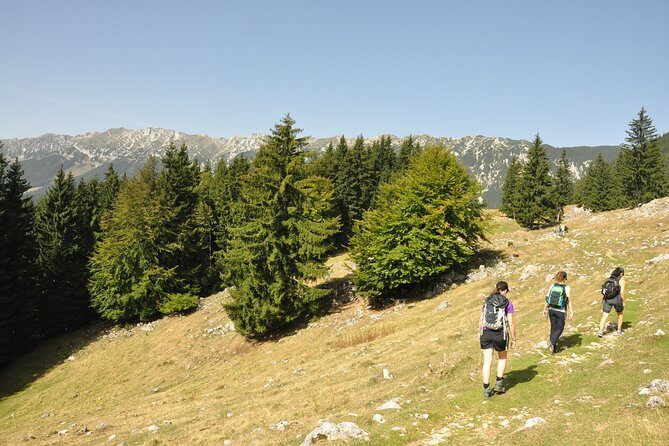 Village life in Transylvanian Carpathian mountains - 8 days - Magura to Fundata: village links you can actually feel