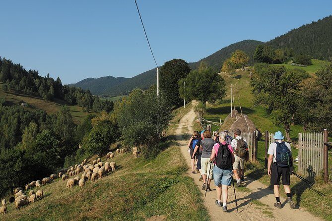 Village life in Transylvanian Carpathian mountains - 8 days - Bucegi Mountains and Devil’s Mill: when timing affects the payoff