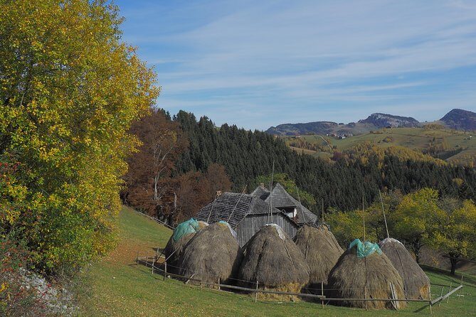 Village life in Transylvanian Carpathian mountains - 8 days - Meals, pensions, and the rhythm of village nights