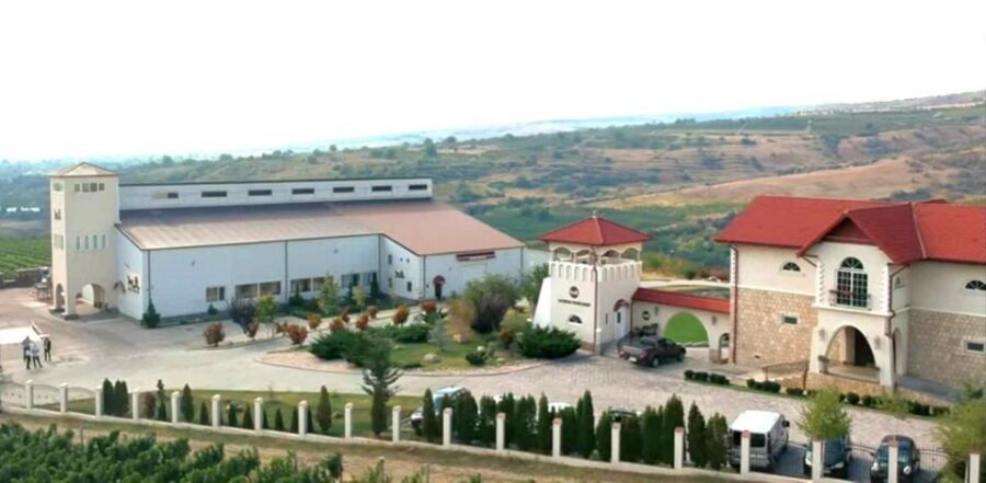 Winery touring & private wine tasting - one day private tour - Key highlights worth planning around