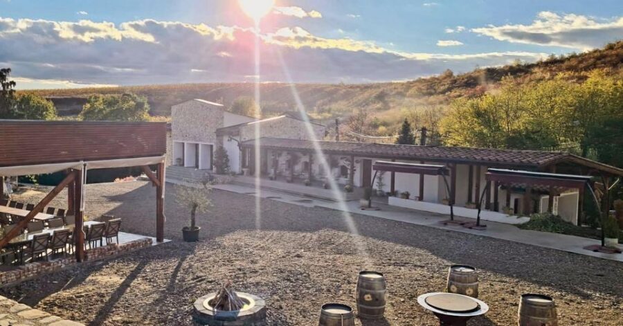 Winery touring & private wine tasting - one day private tour - How the 10-hour schedule feels: a tasting day with breathing room